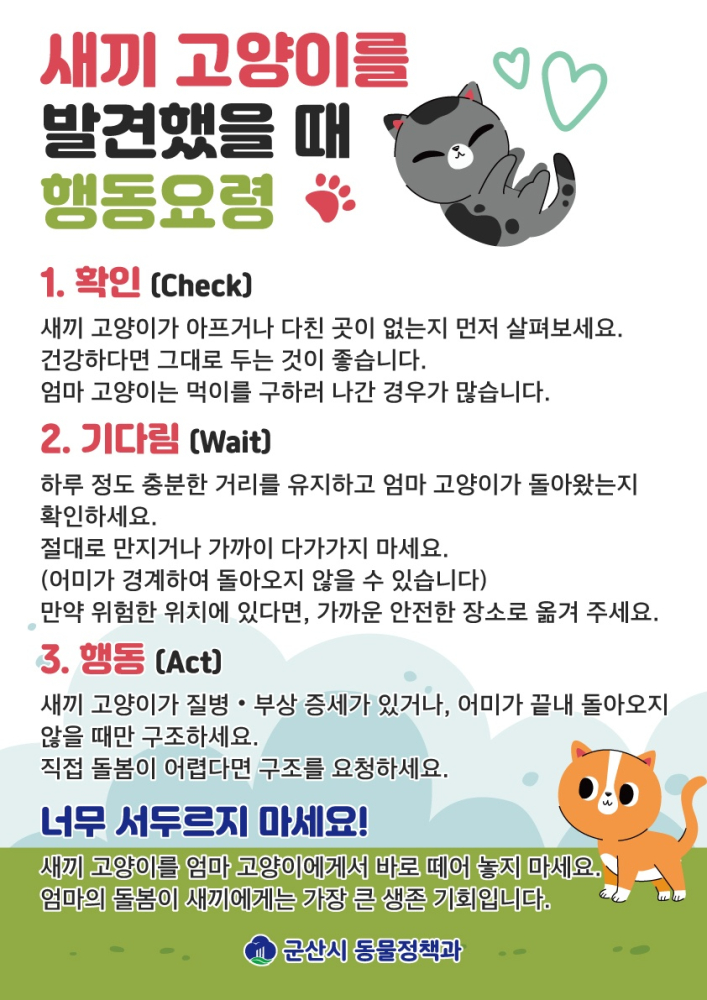 새끼고양이발견시행동요령